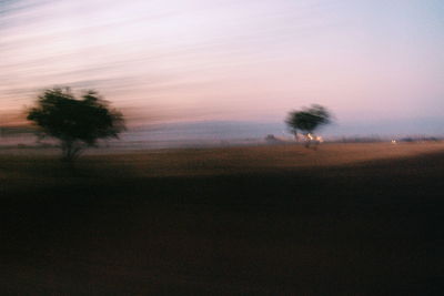 Silhouette trees on field against sky during sunset