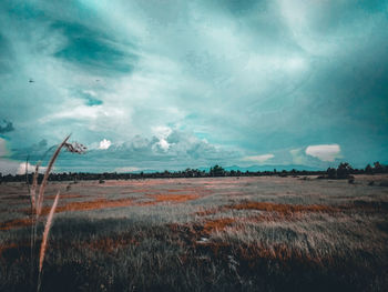 Scenic view of field against sky