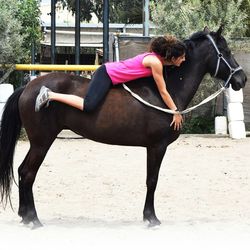 Man with horse in stable