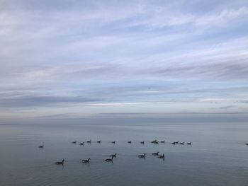 Flock of birds in sea against sky