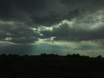 Silhouette of trees against cloudy sky