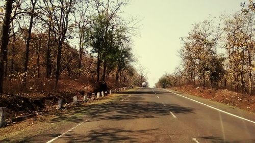 Empty road along trees
