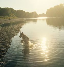 Scenic view of lake at sunset