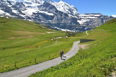 Scenic view of landscape