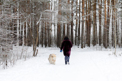 Rear view of man with dog walking in snow