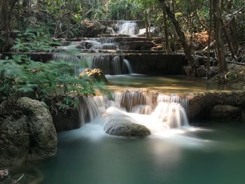 Scenic view of waterfall in forest