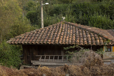 Old house on field by trees in forest