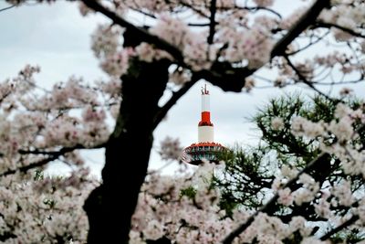 Low angle view of kyoto tower against sky seen from cherry blossom tree