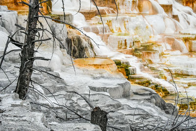 Snow covered rocks and trees