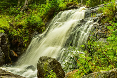 Scenic view of waterfall in forest