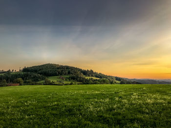 Scenic view of field against sky during sunset