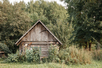 Abandoned house in forest