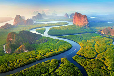 Aerial view of river flowing amidst forest