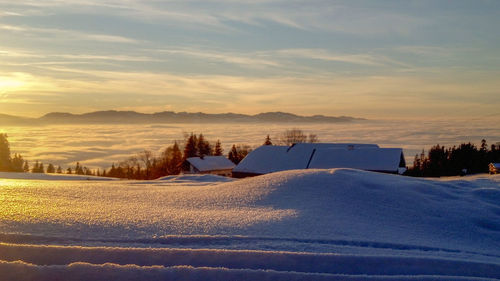 Scenic view of snow covered field against sky at sunset