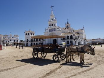 Rear view of man riding horse against clear sky in el rocio