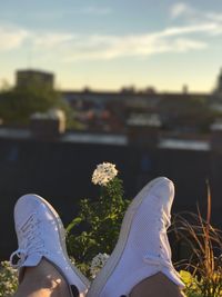 Low section of person wearing shoes on grass