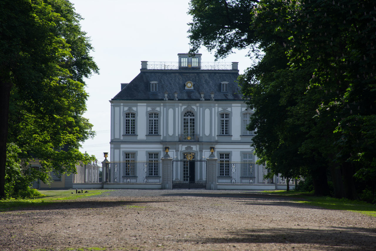 architecture, tree, building exterior, built structure, outdoors, no people, day, growth, sky, nature