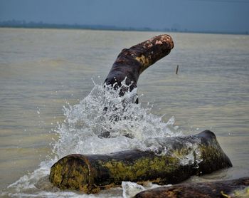 Sea waves splashing on rock