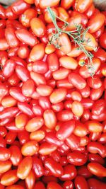 Full frame of tomatoes in market