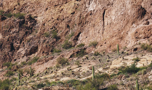 Rock formation on land