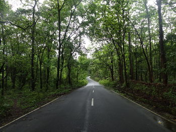 Empty road along trees in forest