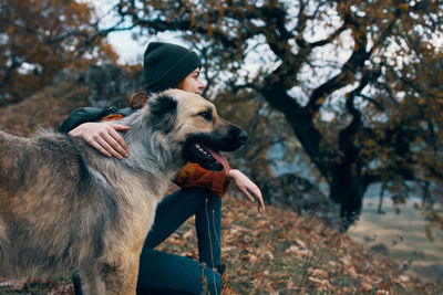 Dog looking away