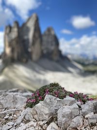 Close-up of rocks on rock against sky
