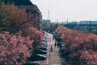 View of street amidst buildings