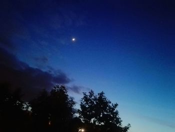 Low angle view of silhouette trees against sky at night