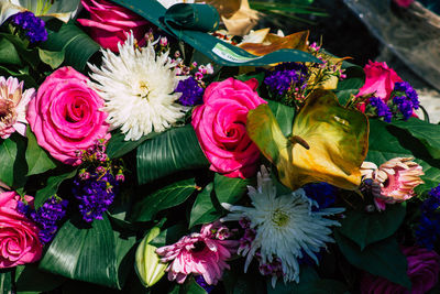 Close-up of pink roses