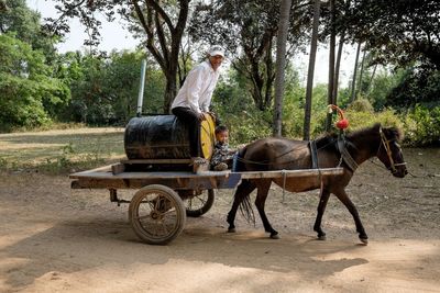 Man riding horse cart