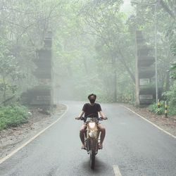 Man riding bicycle on road