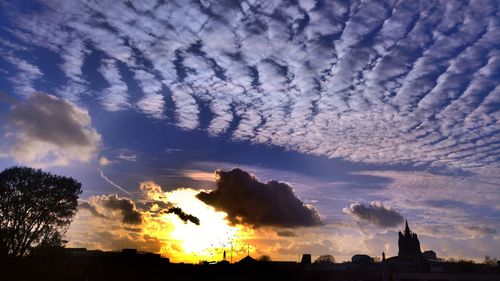 Low angle view of silhouette trees against dramatic sky