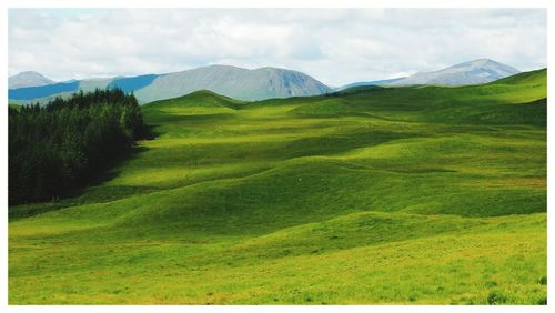 Scenic view of green landscape against sky