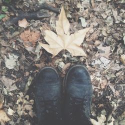 Low section of person standing on fallen leaves