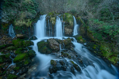 Scenic view of waterfall in forest