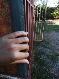 Close-up of hand on grass