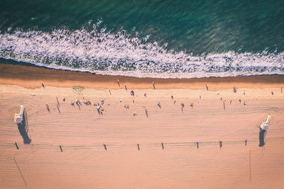 High angle view of birds on beach