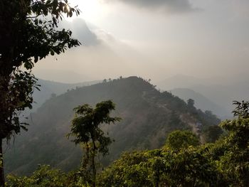 Scenic view of tree mountains against sky