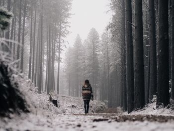 Rear view of people walking in forest