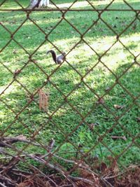 View of chainlink fence