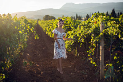 Brunette woman in a white dress stands in a vineyard in summer in italy