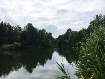 Scenic view of lake in forest against sky