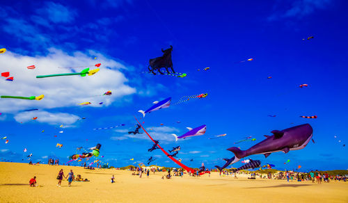 Kites against blue sky