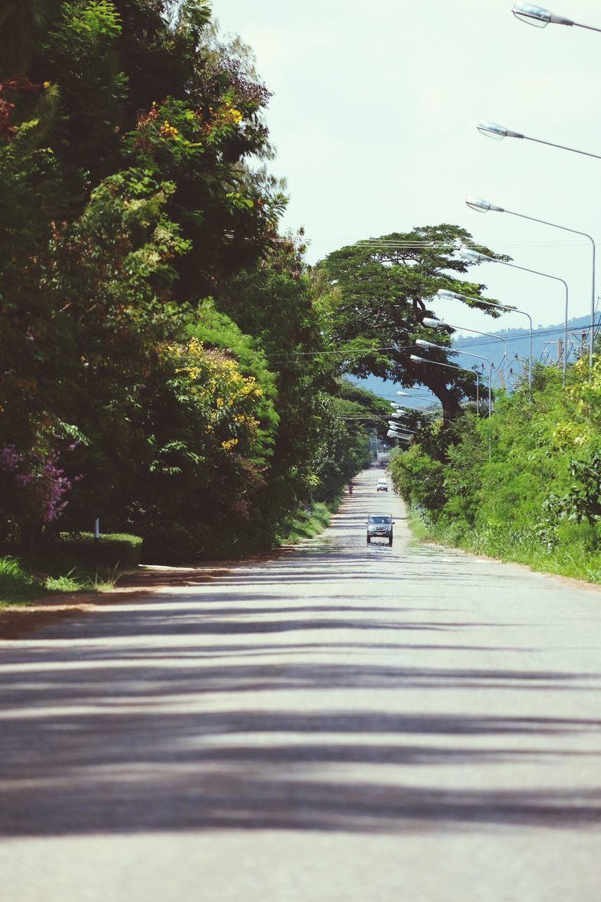 CAR ON STREET AGAINST TREES