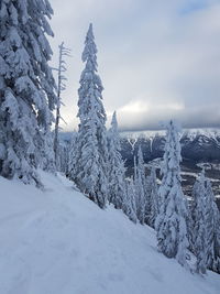 Snow covered landscape against sky