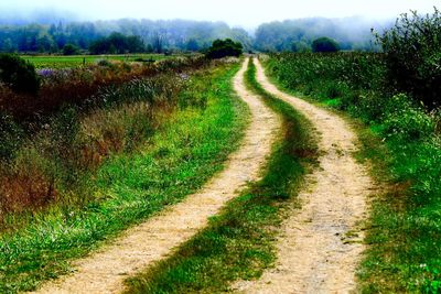 Dirt road passing through field
