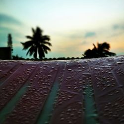 Close-up of wet road during rainy season