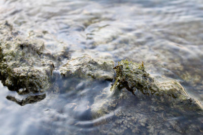Scenic view of mountain range
