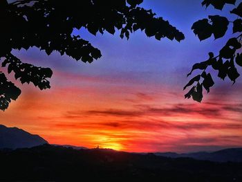 Low angle view of silhouette tree against sky during sunset